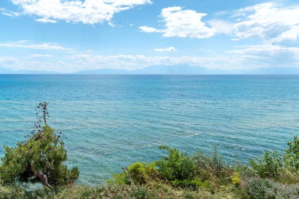 Seafront 2 Bedrooms Apartment Неа-Ираклия Экстерьер фото